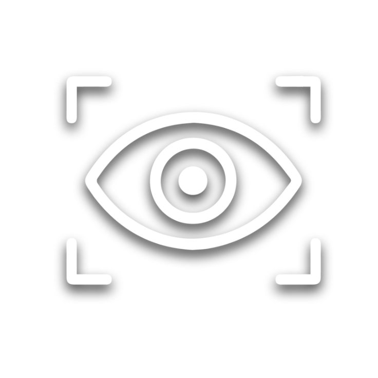 Visión icono